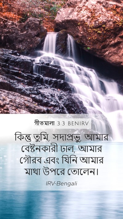 গীতমালা 3:3 BENIRV Bible Verse Image