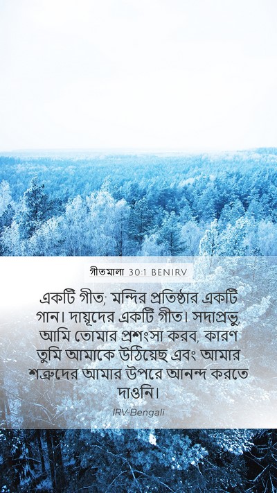 গীতমালা 30:1 BENIRV Bible Verse Image