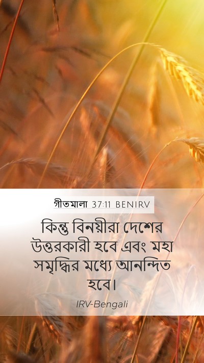 গীতমালা 37:11 BENIRV Bible Verse Image