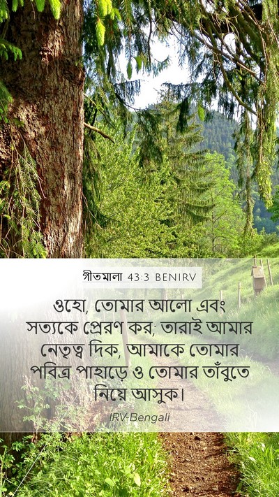 গীতমালা 43:3 BENIRV Bible Verse Image
