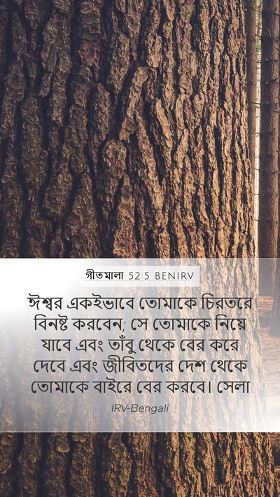 গীতমালা 52:5 BENIRV Bible Verse Image