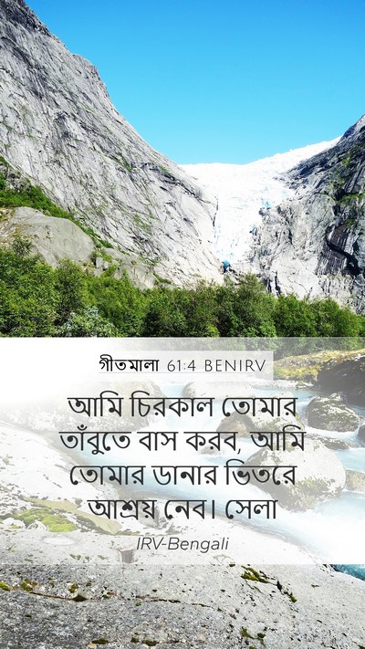 গীতমালা 61:4 BENIRV Bible Verse Image