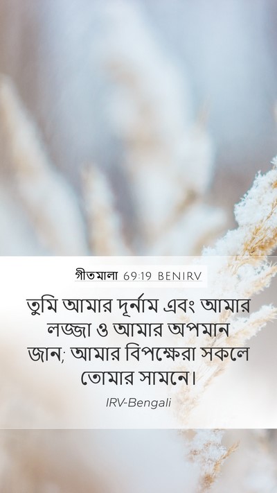 গীতমালা 69:19 BENIRV Bible Verse Image