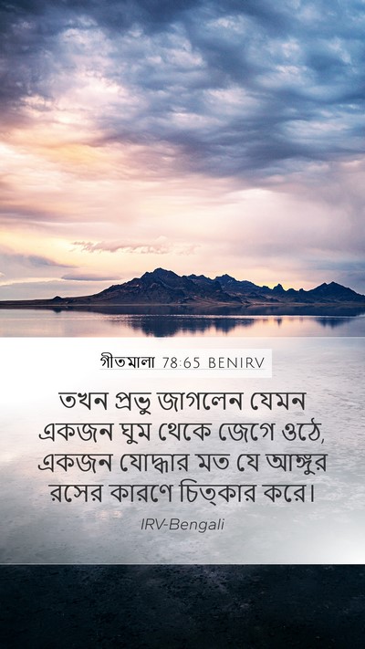 গীতমালা 78:65 BENIRV Bible Verse Image