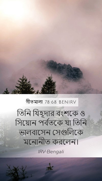 গীতমালা 78:68 BENIRV Bible Verse Image