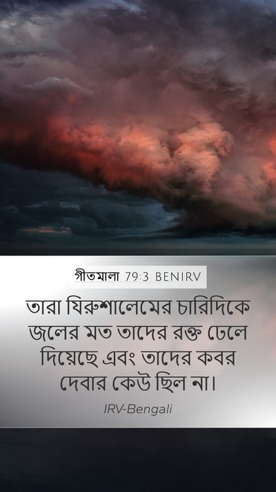 গীতমালা 79:3 BENIRV Mobile Phone Wallpaper - তারা যিরুশালেমের - Mobile Bible Verse Wallpaper
