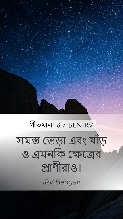 গীতমালা 8:7 BENIRV Mobile Phone Wallpaper - সমস্ত ভেড়া এবং - Mobile Bible Verse Wallpaper