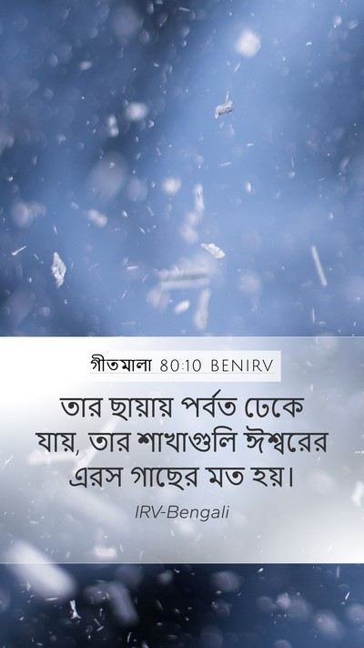 গীতমালা 80:10 BENIRV Mobile Phone Wallpaper - তার ছায়ায় পর্বত - Mobile Bible Verse Wallpaper