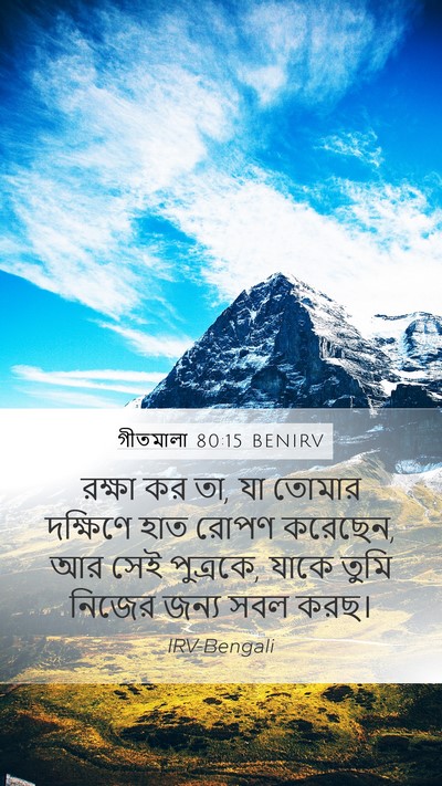 গীতমালা 80:15 BENIRV Bible Verse Image