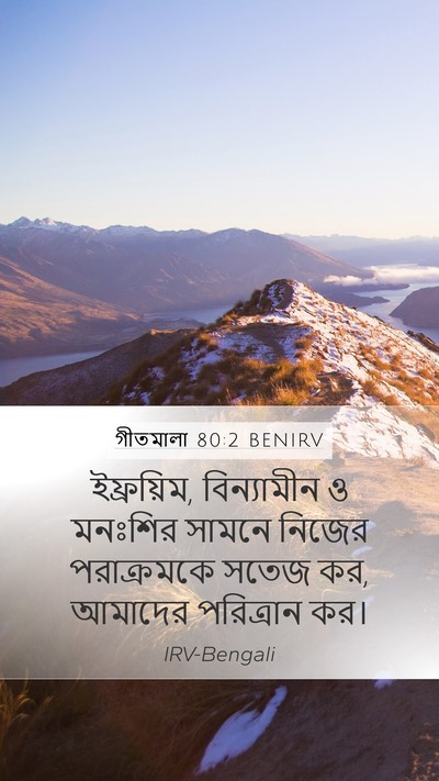 গীতমালা 80:2 BENIRV Bible Verse Image
