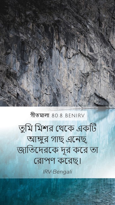গীতমালা 80:8 BENIRV Bible Verse Image