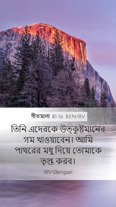 গীতমালা 81:16 BENIRV Bible Verse Image