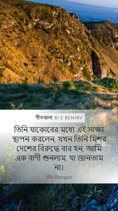 গীতমালা 81:5 BENIRV Bible Verse Image