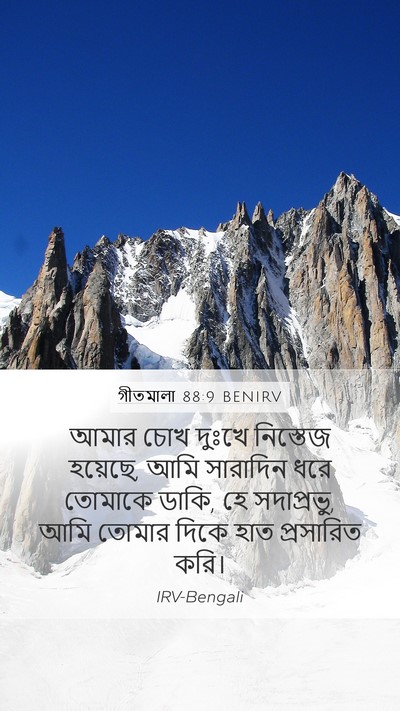 গীতমালা 88:9 BENIRV Bible Verse Image