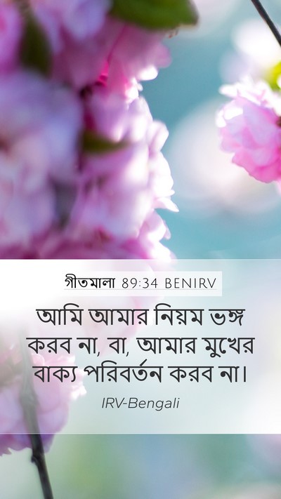 গীতমালা 89:34 BENIRV Bible Verse Image