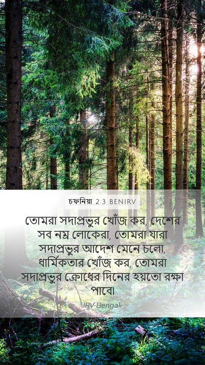 চফনিয়া 2:3 BENIRV Bible Verse Image