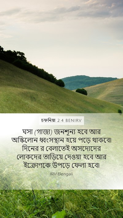 চফনিয়া 2:4 BENIRV Bible Verse Image