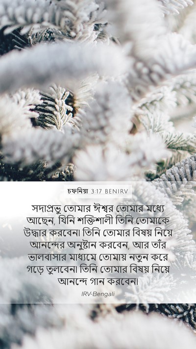 চফনিয়া 3:17 BENIRV Bible Verse Image