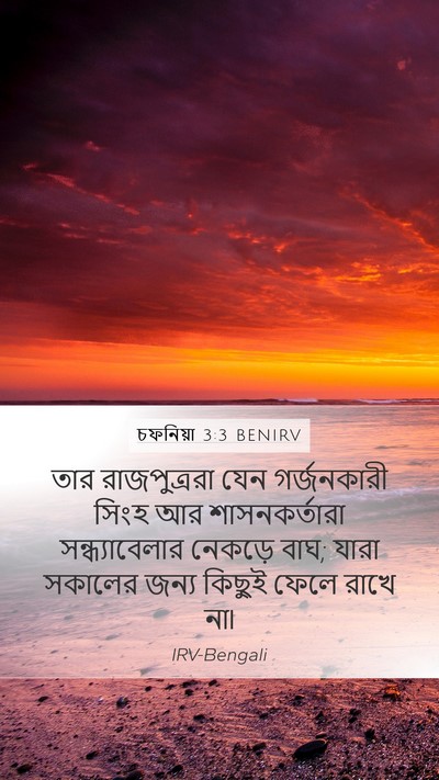 চফনিয়া 3:3 BENIRV Bible Verse Image