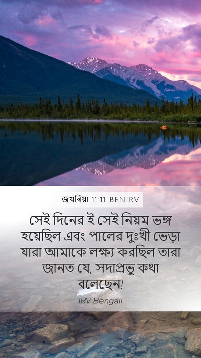 জখৰিয়া 11:11 BENIRV Bible Verse Image