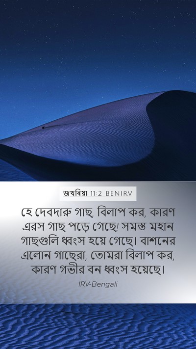 জখৰিয়া 11:2 BENIRV Bible Verse Image