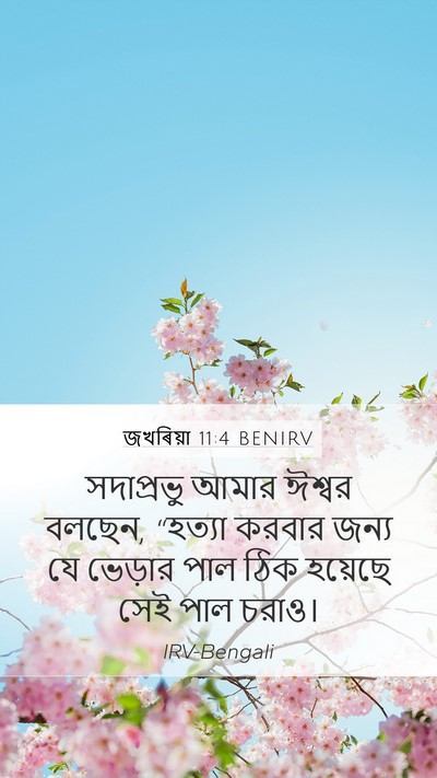 জখৰিয়া 11:4 BENIRV Bible Verse Image
