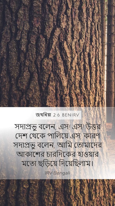 জখৰিয়া 2:6 BENIRV Bible Verse Image
