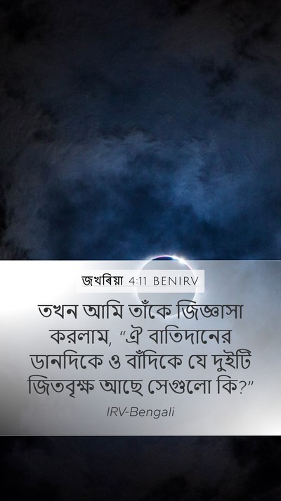 জখৰিয়া 4:11 BENIRV Bible Verse Image