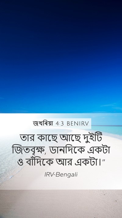 জখৰিয়া 4:3 BENIRV Mobile Phone Wallpaper - তার কাছে আছে দুইটি - Mobile Bible Verse Wallpaper