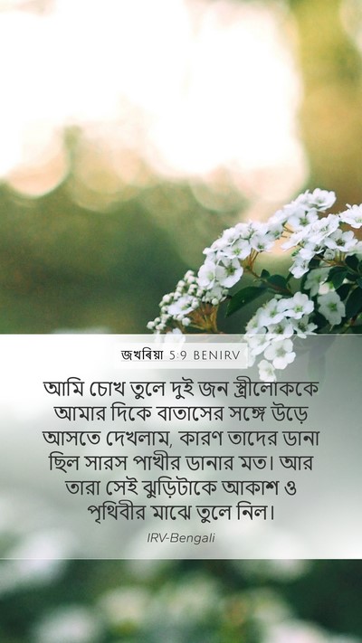জখৰিয়া 5:9 BENIRV Bible Verse Image