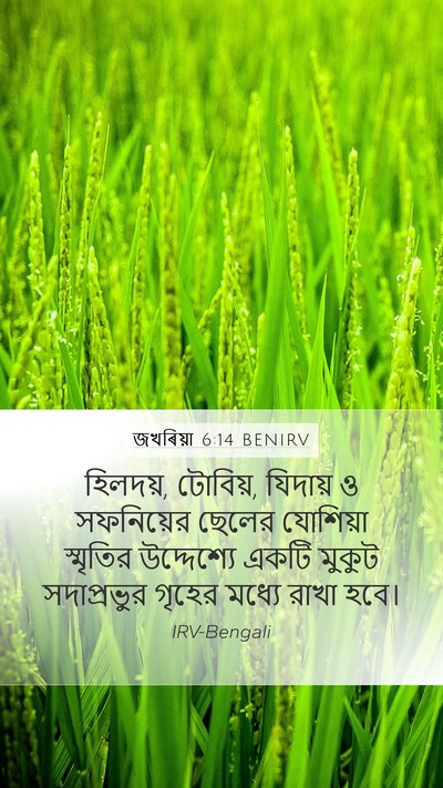 জখৰিয়া 6:14 BENIRV Bible Verse Image