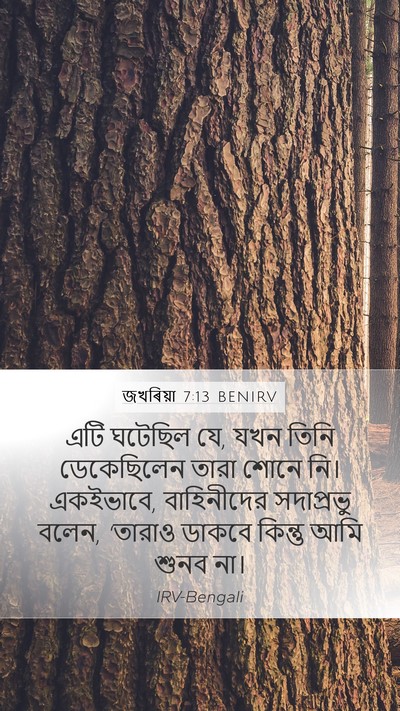 জখৰিয়া 7:13 BENIRV Bible Verse Image
