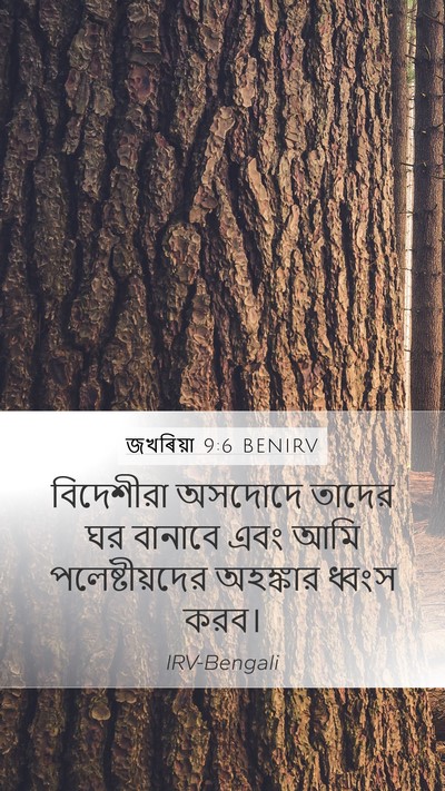 জখৰিয়া 9:6 BENIRV Bible Verse Image