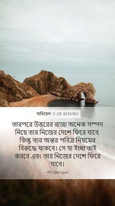 দানিয়েল 11:28 BENIRV Bible Verse Image