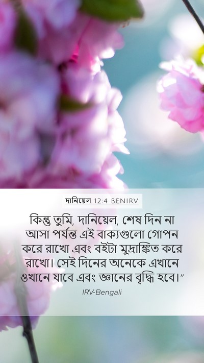 দানিয়েল 12:4 BENIRV Bible Verse Image
