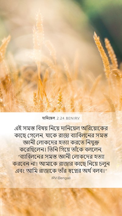 দানিয়েল 2:24 BENIRV Mobile Phone Wallpaper - এই সমস্ত বিষয় - Mobile Bible Verse Wallpaper