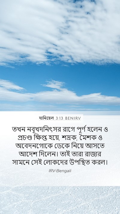 দানিয়েল 3:13 BENIRV Bible Verse Image