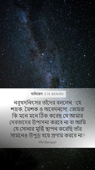 দানিয়েল 3:14 BENIRV Mobile Phone Wallpaper - নবূখদনিৎসর তাঁদের - Mobile Bible Verse Wallpaper
