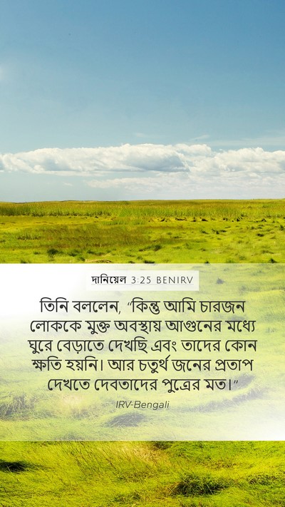 দানিয়েল 3:25 BENIRV Bible Verse Image