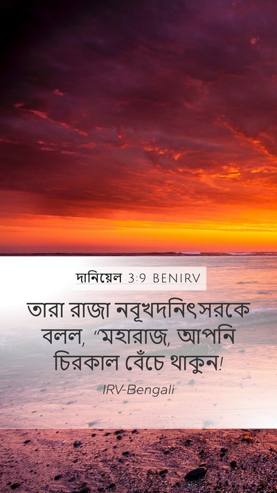 দানিয়েল 3:9 BENIRV Bible Verse Image