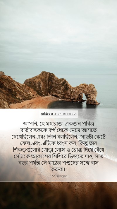 দানিয়েল 4:23 BENIRV Bible Verse Image