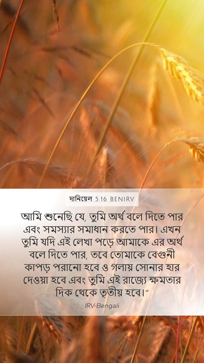 দানিয়েল 5:16 BENIRV Bible Verse Image