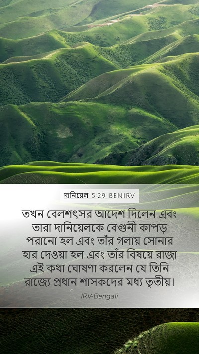 দানিয়েল 5:29 BENIRV Bible Verse Image