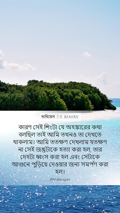 দানিয়েল 7:11 BENIRV Bible Verse Image