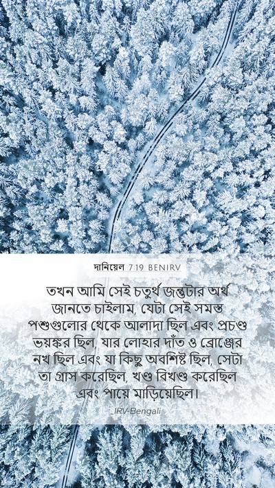 দানিয়েল 7:19 BENIRV Bible Verse Image