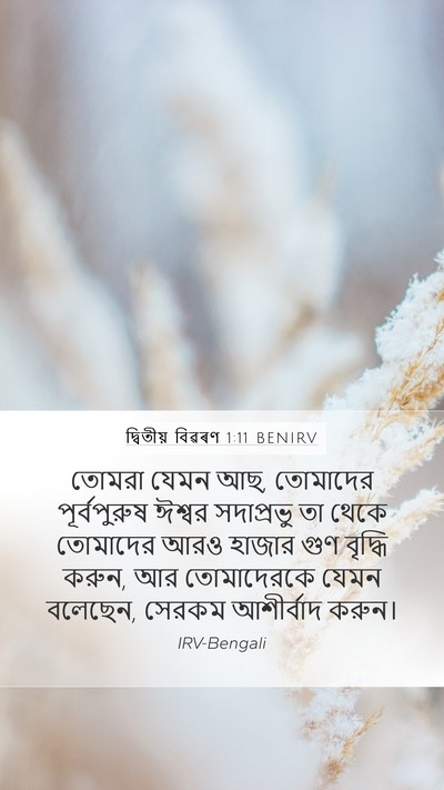 দ্বিতীয় বিৱৰণ 1:11 BENIRV Mobile Phone Wallpaper - তোমরা যেমন আছ, - Mobile Bible Verse Wallpaper