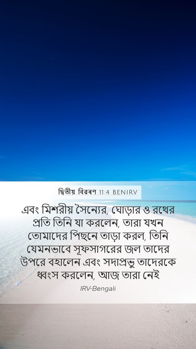 দ্বিতীয় বিৱৰণ 11:4 BENIRV Bible Verse Image