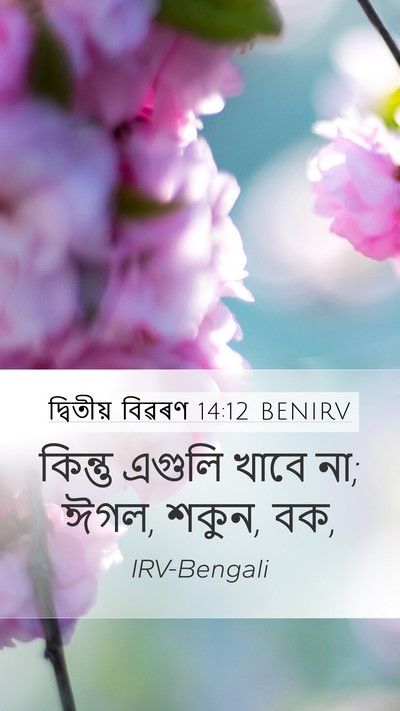 দ্বিতীয় বিৱৰণ 14:12 BENIRV Bible Verse Image