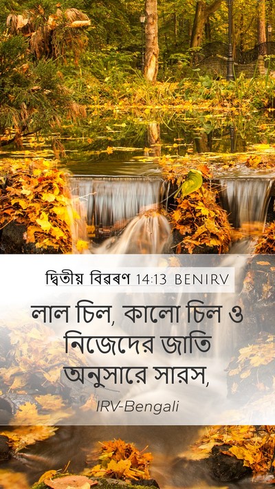 দ্বিতীয় বিৱৰণ 14:13 BENIRV Mobile Phone Wallpaper - লাল চিল, কালো চিল ও - Mobile Bible Verse Wallpaper