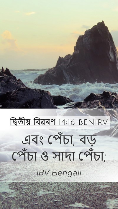 দ্বিতীয় বিৱৰণ 14:16 BENIRV Mobile Phone Wallpaper - এবং পেঁচা, বড় - Mobile Bible Verse Wallpaper
